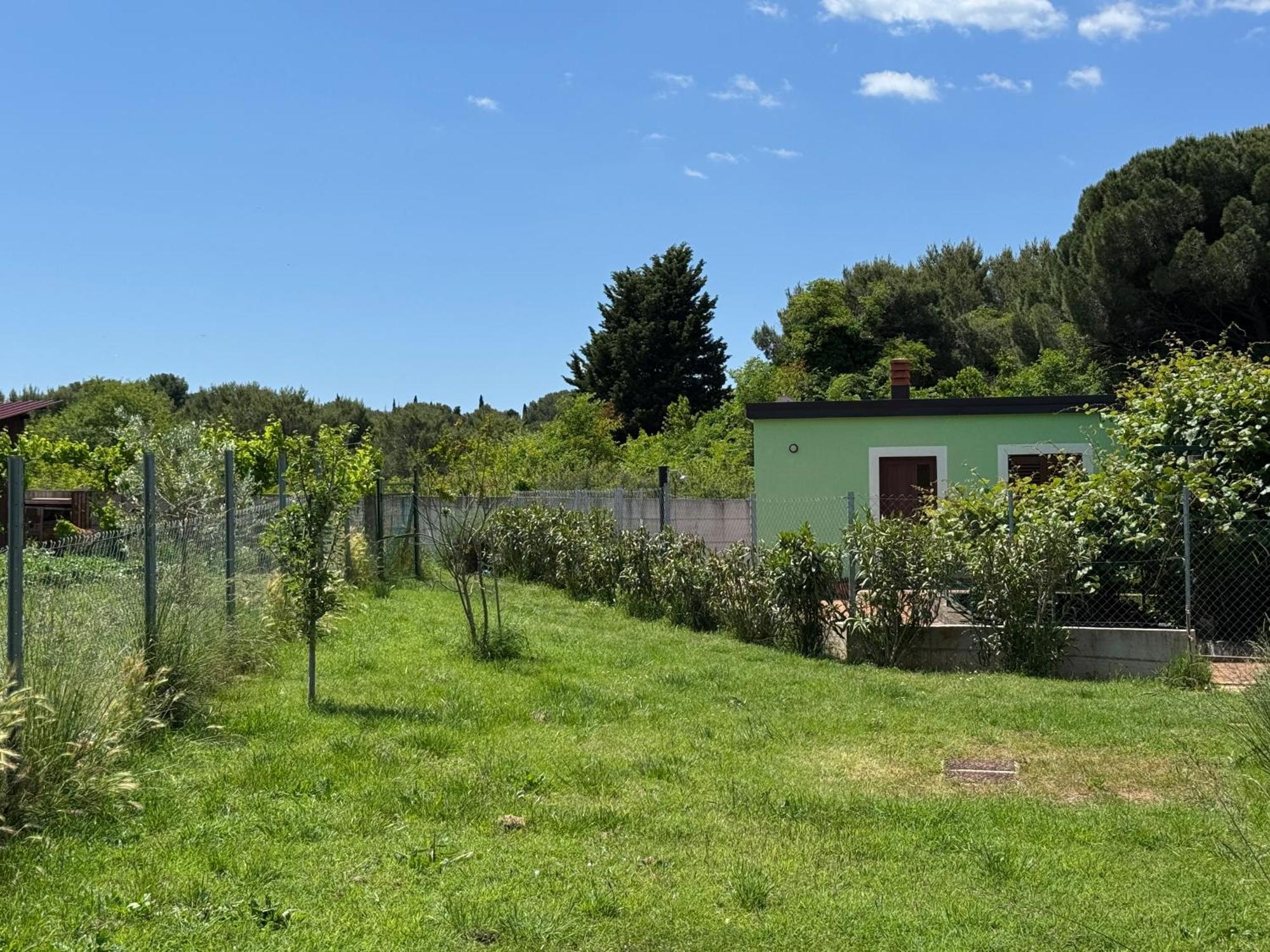 Villa Pinija Fažana Dış mekan fotoğraf
